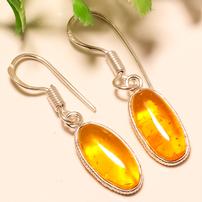 Baltic Amber Earrings 202//202